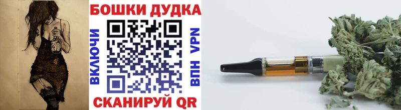 Что такое Исилькуль Alpha PVP  ГАШ  Псилоцибиновые грибы  КОКАИН  Амфетамин 